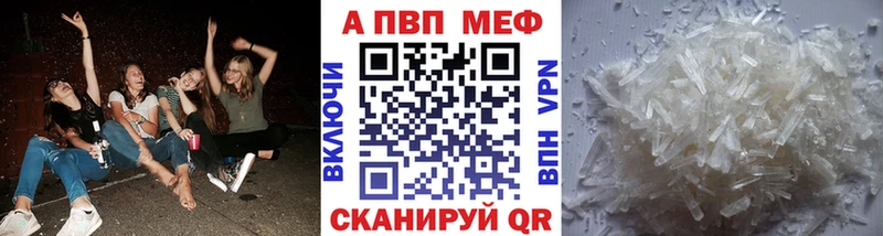 сколько стоит Судак А ПВП СК