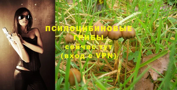 MESCALINE Армянск