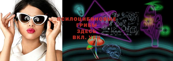 гидропоника Аркадак