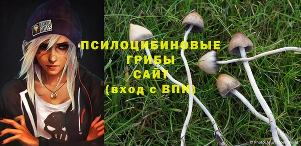 а пвп мука Арсеньев