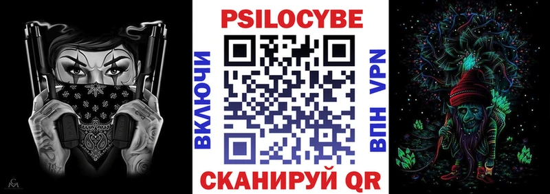 это состав  сколько стоит  Судак  Галлюциногенные грибы мухоморы  мега как зайти 